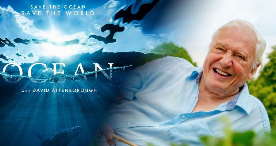 Avoca Beach Theatre - David Attenborough: Ocean Avoca Beach Theatre - David Attenborough: Ocean