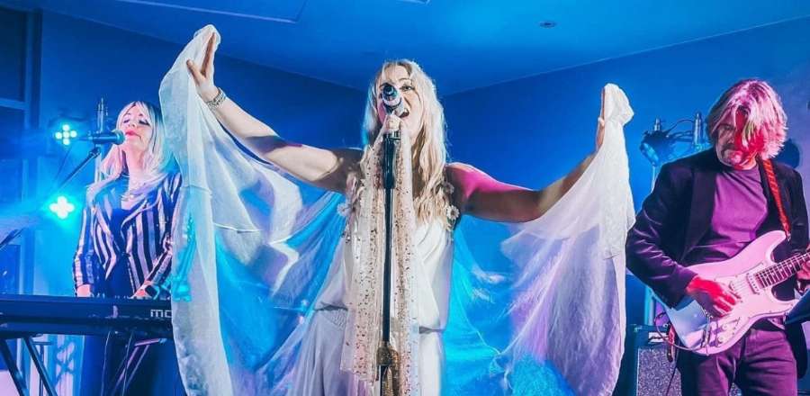Laughing Bird Arts Association - Fleetwood Nicks Laughing Bird Arts Association - Fleetwood Nicks